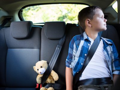 Chauffeur Drivriven Private Tour